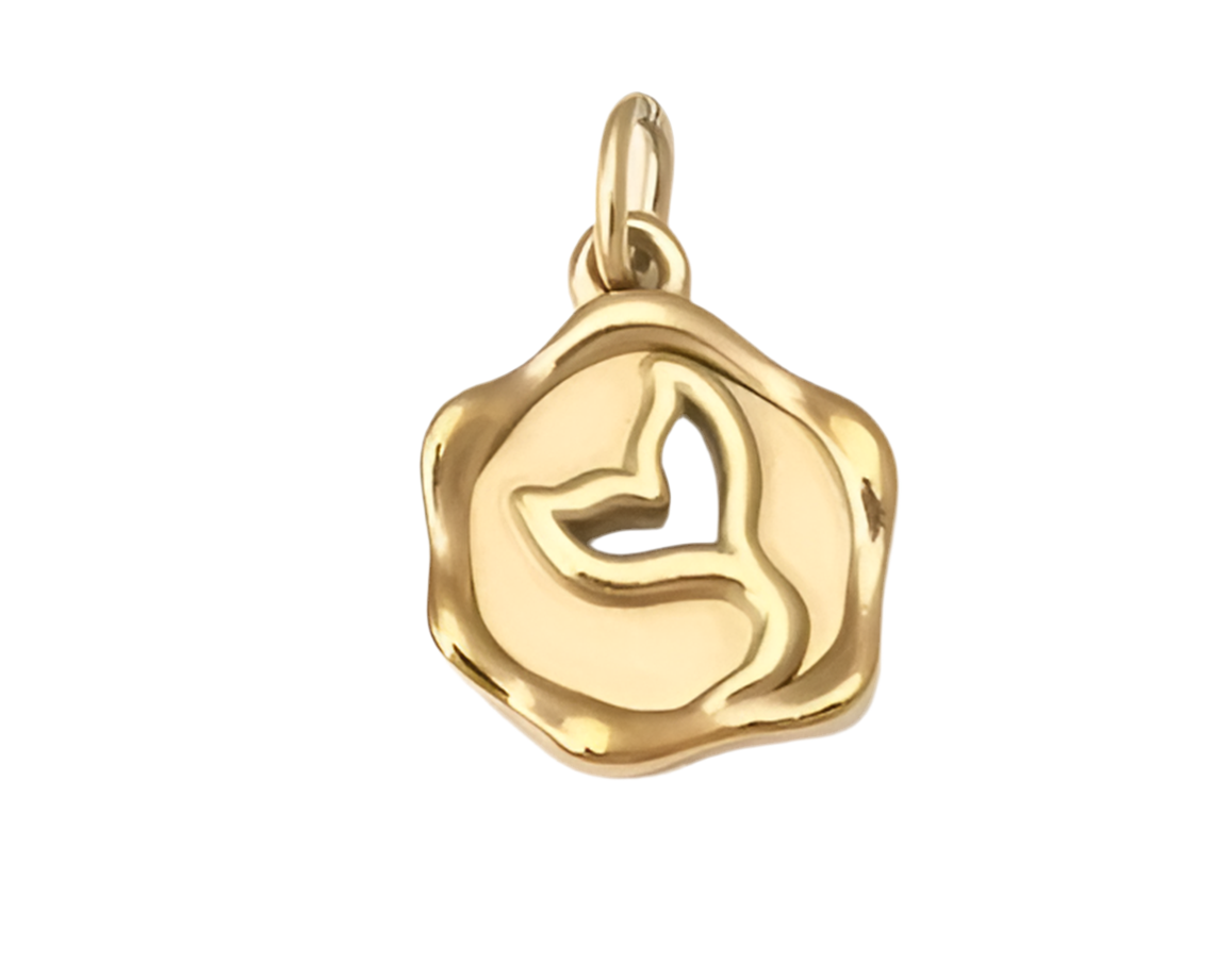 Shapes Charms